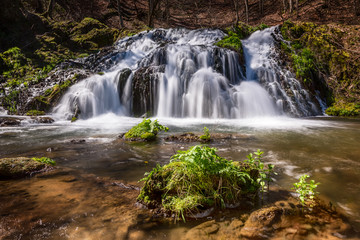 Forest  waterfall. Long exposure.