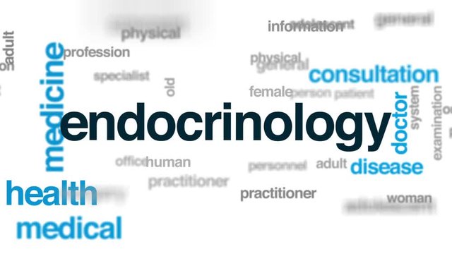 Endocrinology animated word cloud, text design animation.