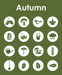 Fototapeta na wymiar Set of autumn simple icons