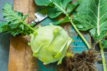 Fresh green kohlrabi cabbage with green leaves ready to eat