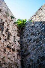 Obraz premium Palace of the great masters, Old Town, Rhodes
