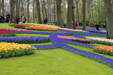 Colorful flowers in the Keukenhof Garden in Lisse, Holland, Netherlands.
