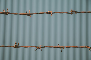 Barbwire