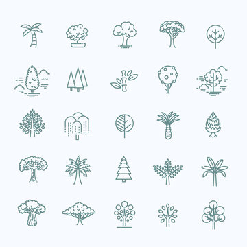 Set of Tree shape Vector Line Icons