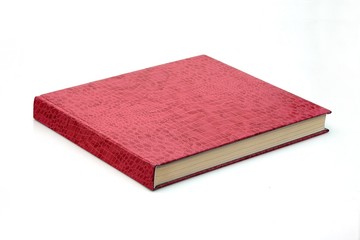 Books on white background (banner)