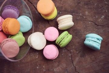 sweet macaroon pastel color