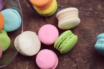 sweet macaroon pastel color