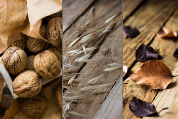 Photo collage autumn fall, dry brown red orange leaves, walnuts, plants on weathered wood background, tranquil cozy atmosphere