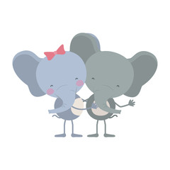 colorful caricature with couple of elephants embraced vector illustration