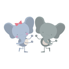 colorful caricature with couple of elephants dancing vector illustration