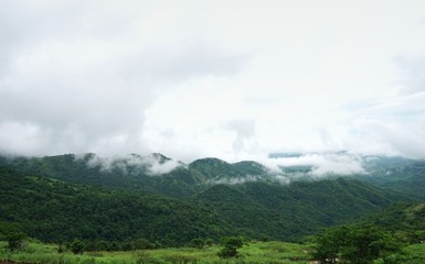 Morning mountain landscape with waves of fog and cloudy sky. Waves of clouds in the mountain peaks covered with coniferous deciduous forests