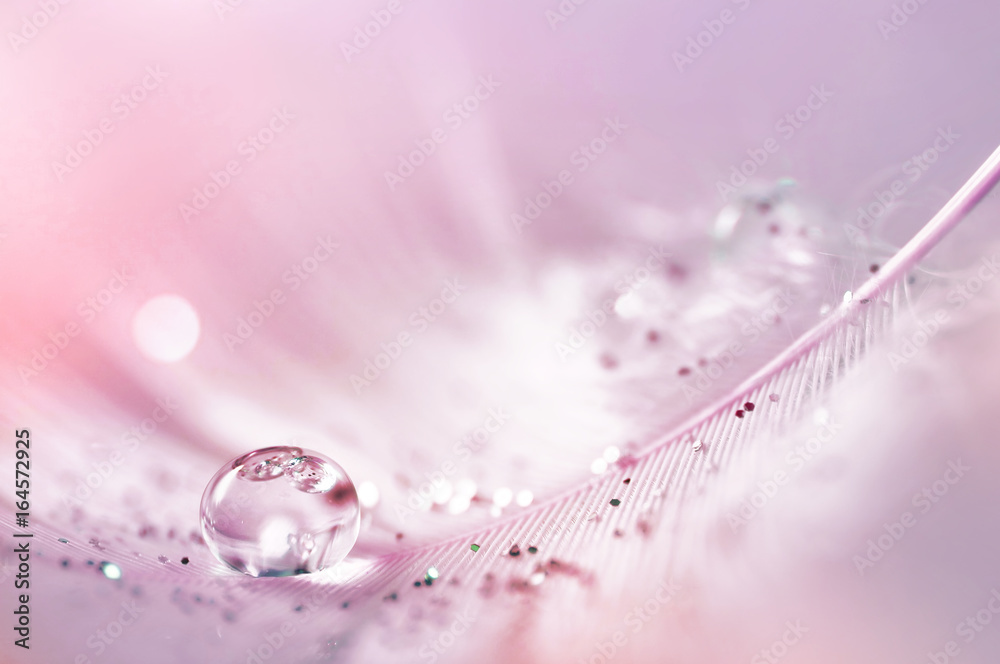 Poster feather pink bird with sparkles and transparent drop of dew water sparkles in the rays of bright lig