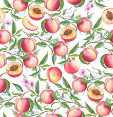 Hand-drawn watercolor seamless pattern with orange fresh peaches on the branch and flowers. Repeated background