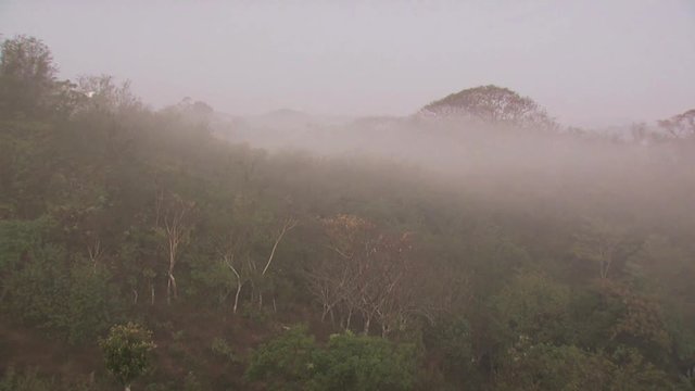 Panoramic View of Mountains In the Fog 3