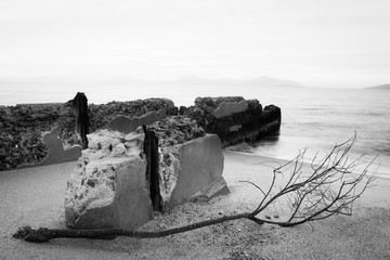 Sadness landscape with branch on sandy beach and leftover old wall.