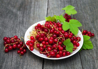 Plate with red currant