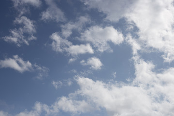 Fototapeta premium 雲模様