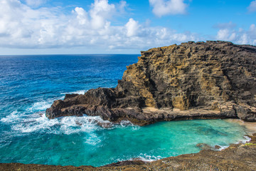 Flowers, hawaii, travel, landscape, exotic flowers, 