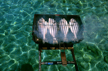 Seafood Barbecue grill on a boat, Mugla, Turkey