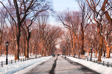 Central Park, New York, winter