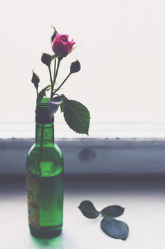 Pink rose in a green bottle on old wooden windowsill