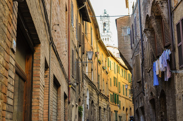 Fototapeta na wymiar Panorama of medieval city in Tuscany Siena