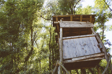 Hunting tower in forest