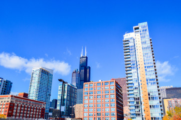Fototapeta premium Chicago skyscrapers, Illinois state city, famous for the fountain and the magical colors of autumn, in the city park