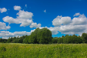 Летний парк