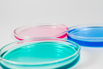 color liquid in petri dishes. laboratory, science and clinic background
