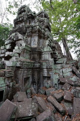 Fototapeta premium Ta Prohm, Angkor, Cambodia