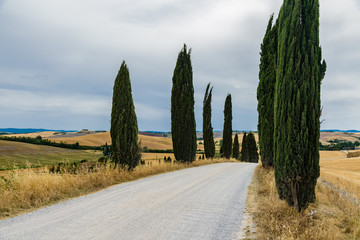 Panorama of tuscany in summer, with fields of wheat and blue sky