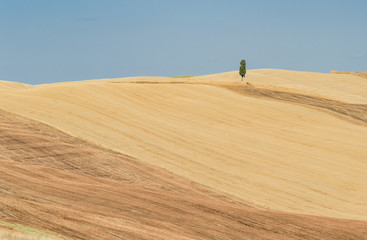 Obraz premium Panorama of tuscany in summer, with fields of wheat and blue sky