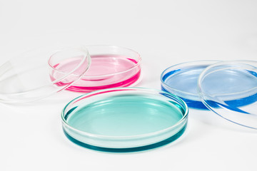 color liquid in petri dishes. laboratory, science and clinic background
