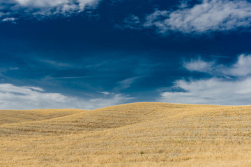 Fototapeta na wymiar Panorama ohills in Tuscany Italy, in val d' Orcia, province of Siena