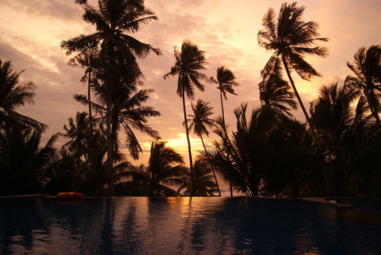 SONY DSC, PALMIERS, TAILANDE, COUCHER, SOLEIL, NUIT