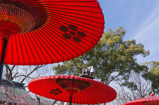 Traditional umbrella of Japan.