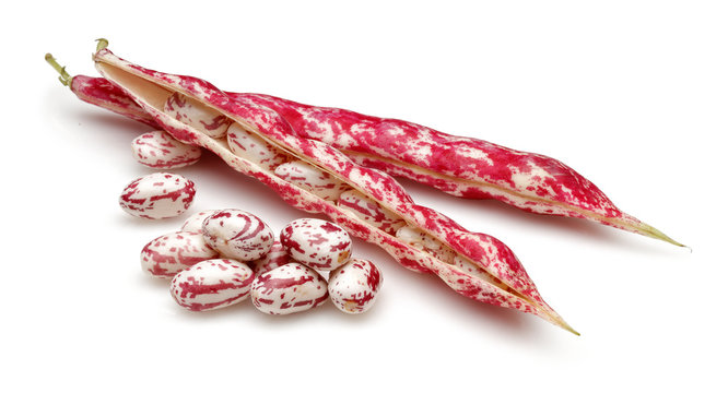 Pinto beans