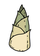 bamboo shoot / cartoon vector and illustration, hand drawn style, isolated on white background.
