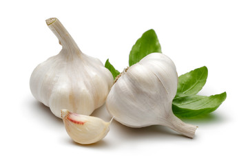 Garlic