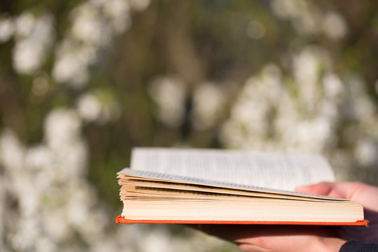 Education concept - open book in hands on a background of blossoming trees