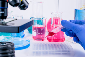 scientist pipetting chemical liquid into 96 well micro plate. examining samples in laboratory and...