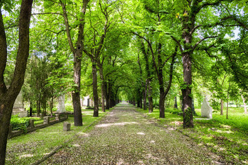 Kerepesi - historic cemetery in Budapest, Hungary