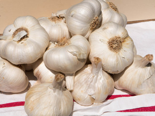 Ail nouveau