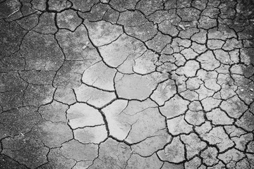 Land with dry and cracked ground,cracks in the ground background