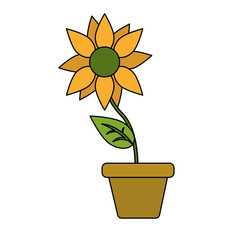 Colorful flower in pot over white background vector illustration