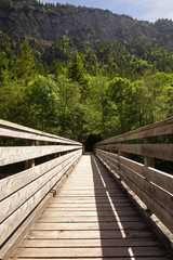 Fototapeta na wymiar Holzbrücke führt in den Wald