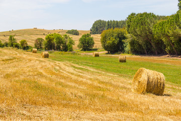 Fototapeta premium Hay pile in a farm field in Vale Seco, Santiago do Cacem