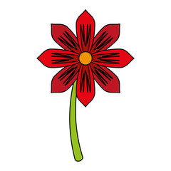 colorful flower over white background vector illustration