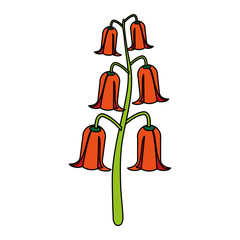 colorful flower over white background vector illustration